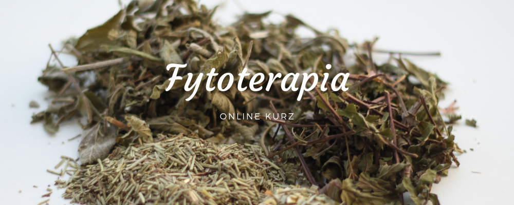 Fytoterapia - online kurz