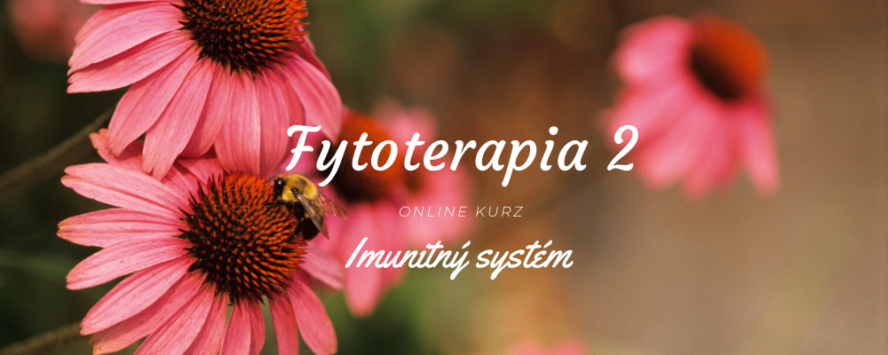 Fytoterapia II - imunitný systém