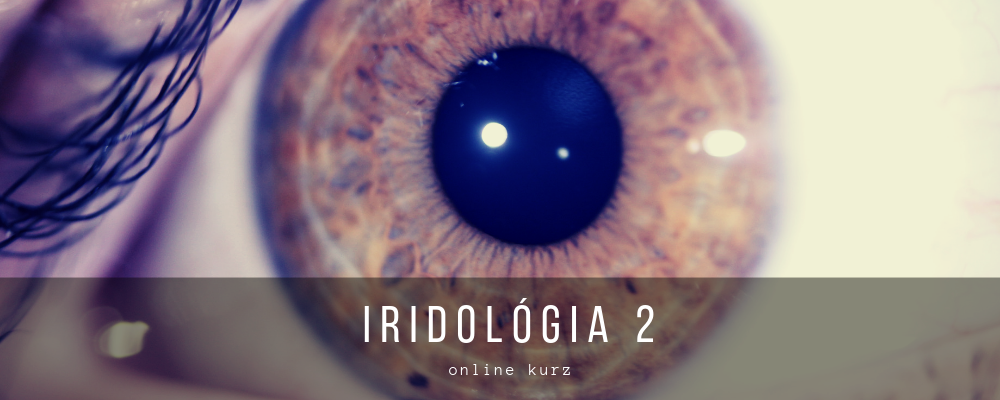 Iridológia II - online kurz
