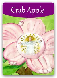 o10-crabapple