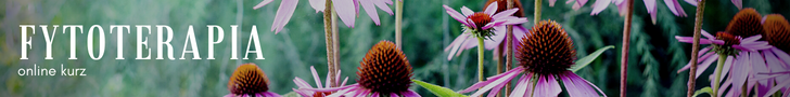 Banner pre online kurz fytoterapie, zobrazujúci detailný záber na echinaceu, symbolizujúci využitie liečivých rastlín v terapii. Kurz dostupný na kurzy-liecenia.sk.