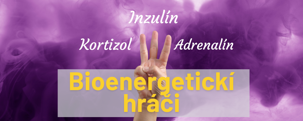 Viac energie? Tu sú traja kľúčoví hráči - adrenalín, kortizol, inzulín