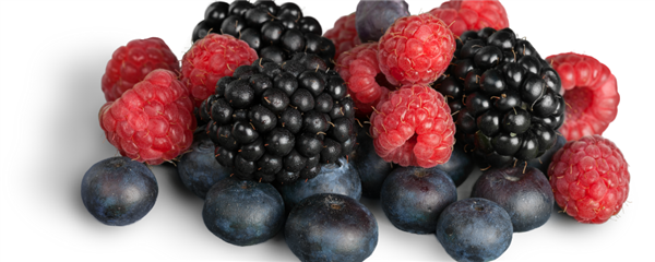 Bobuľové ovocie s vysokým obsahom antioxidantov – zdravá potravina pre boj proti voľným radikálom.