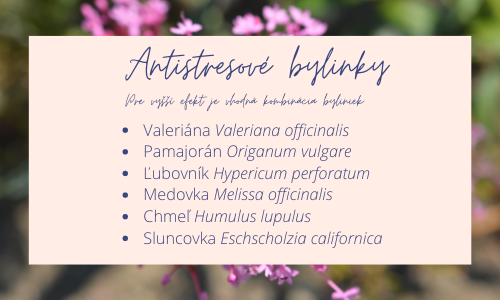 Antistresové bylinky na zníženie krvného tlaku – valeriána, pamajorán, ľubovník, medovka, chmeľ a sluncovka.