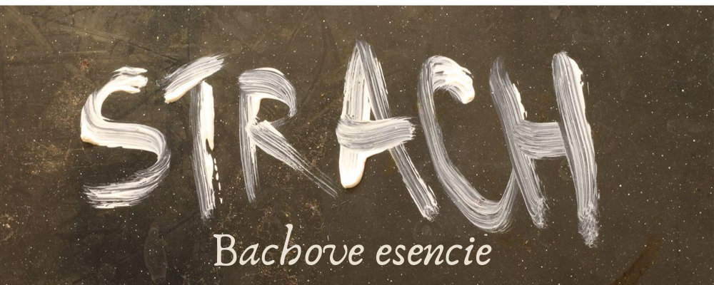 Ako porozumieť strachu a nájsť riešenie pomocou Bachových esencií