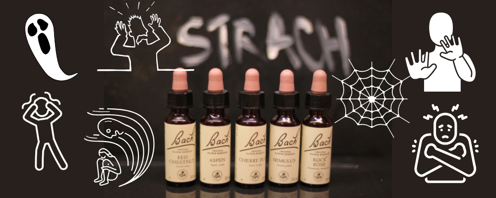 Bachove kvety pre zmiernenie strachu – esencie Rock Rose, Mimulus, Aspen, Cherry Plum a Red Chestnut na pozadí symbolov paniky, paralýzy a úzkosti. Perfektné pre riešenie rôznych typov strachu.