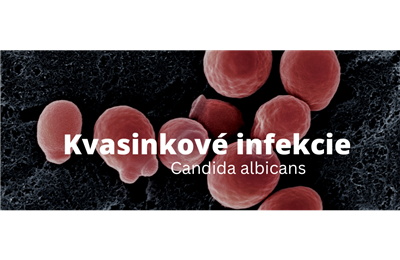 Candida a jej vplyv na zdravie