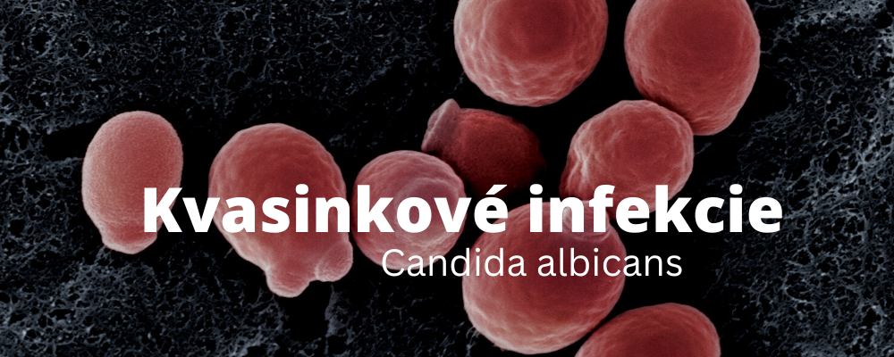 Kvasinka Candida Albicans