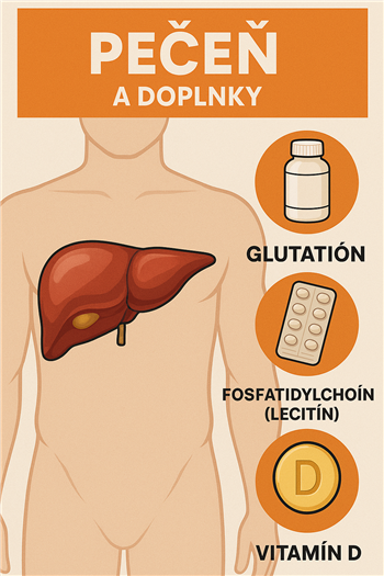 Ilustrácia doplnkov podporujúcich zdravie pečene: glutatión, fosfatidylcholín (lecitín) a vitamín D.