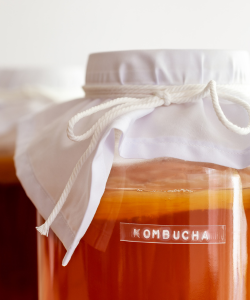 Domáca kombucha v skle – prírodný zdroj probiotík na podporu rovnováhy črevnej mikroflóry a boj proti črevnej dysbióze.