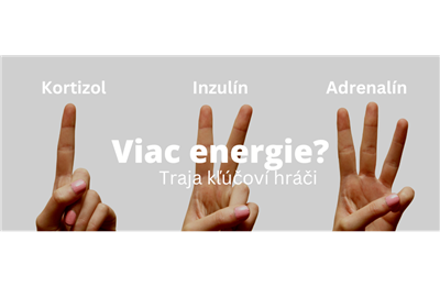 Viac energie? Tu sú traja kľúčoví hráči - adrenalín, kortizol, inzulín