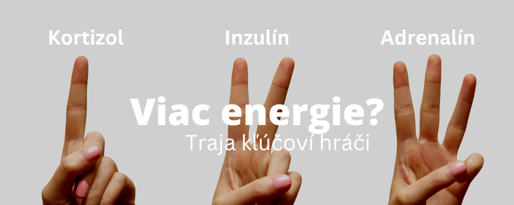 Viac energie? Tu sú traja kľúčoví hráči - adrenalín, kortizol, inzulín