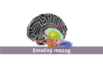 Ako upokojiť svoj emočný mozog?