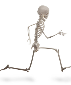 Kostra bežiaceho človeka znázorňujúca zdravé a silné kosti v pohybe. Dôležitosť podpory zdravia kostí pre prevenciu osteoporózy.