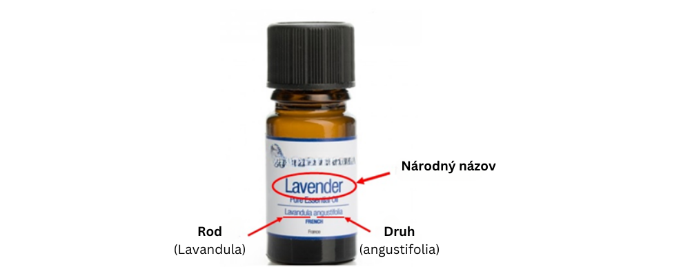 Fľaštička levanduľového esenciálneho oleja so zobrazením vedeckého názvu Lavandula angustifolia na etikete, doplnená o národný názov "Lavender."