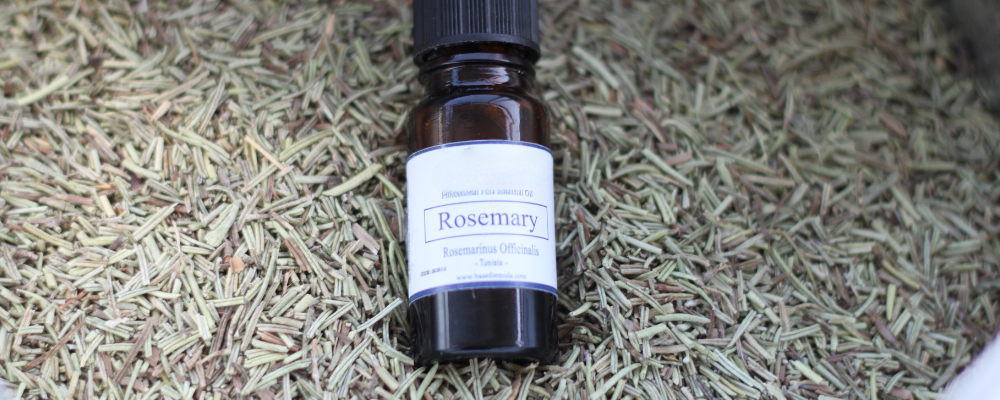 Rozmarínový esenciálny olej (Rosmarinus officinalis) na pozadí sušeného rozmarínu, zobrazuje vedecký názov oleja.