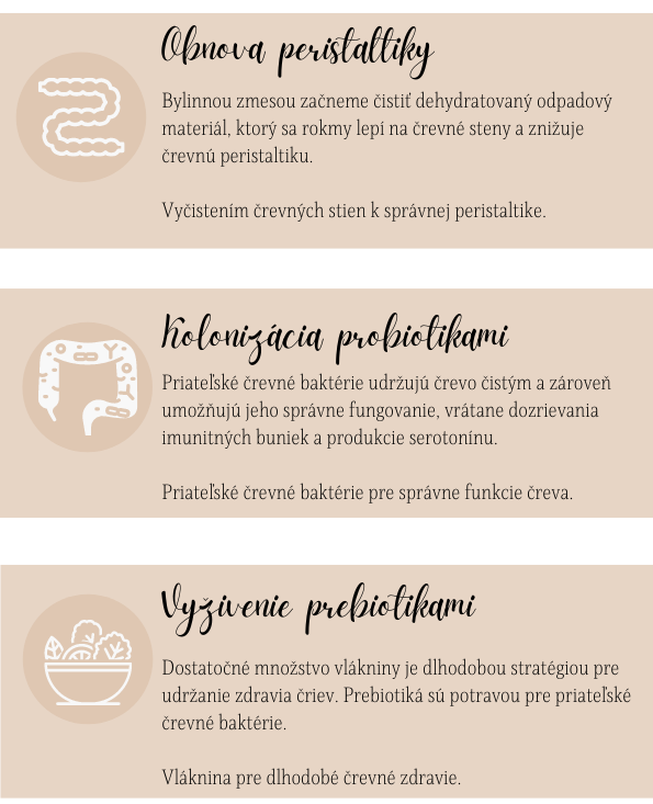 Grafické zobrazenie krokov na zlepšenie zdravia čriev, ako je obnova črevnej peristaltiky, kolonizácia čreva probiotikami a výživa črevnej flóry prebiotikami. Obsahuje jednoduché ikony a texty.