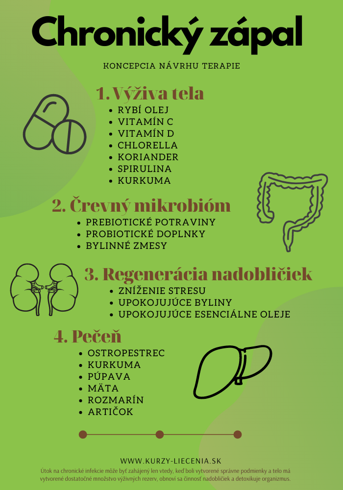 Infografika znázorňujúca koncepciu terapie chronického zápalu. Zameriava sa na štyri oblasti: výživa tela (rybí olej, vitamíny, chlorella, kurkuma), črevný mikrobióm, regenerácia nadobličiek a pečeň. Obsahuje odporúčania pre výživné látky a bylinné terapie. Návrh terapie dostupný na stránke kurzy-liecenia.sk