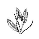 l5-29