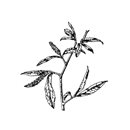 l5-31
