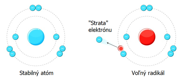Stabilný atóm a voľný radikál – ilustrácia vysvetľujúca, ako voľné radikály strácajú elektrón a spôsobujú oxidačný stres.