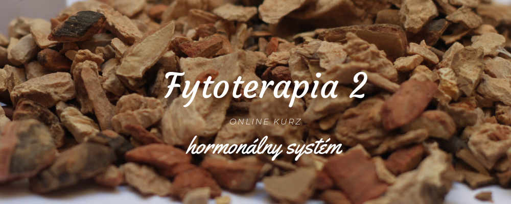 Fytoterapia