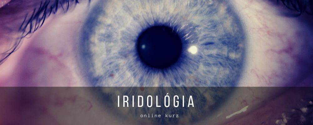 iridologia1_onlinekurz_1